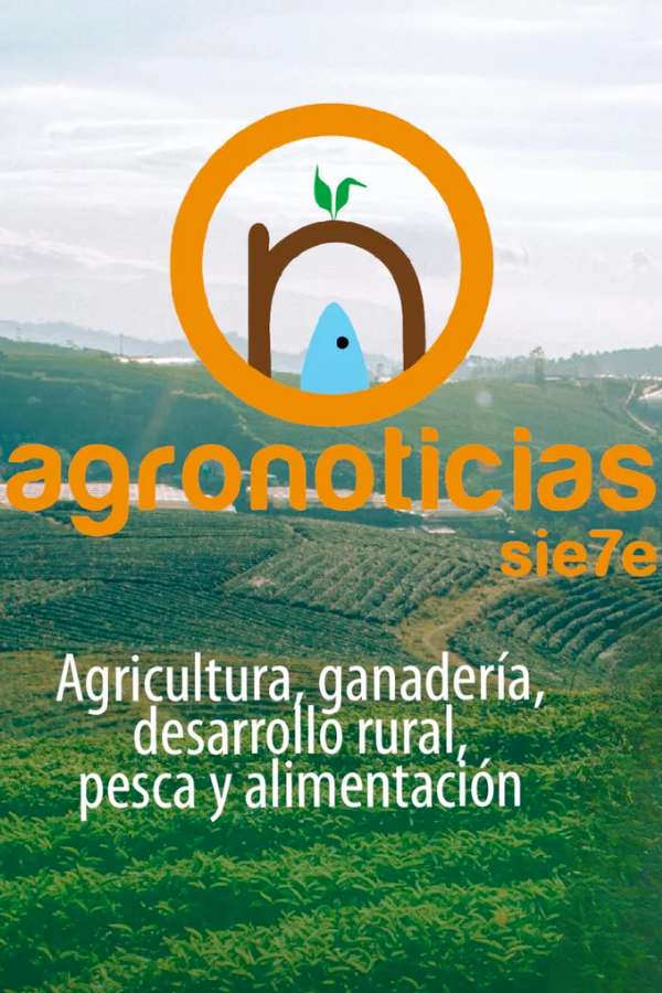 Agro Noticias Siete